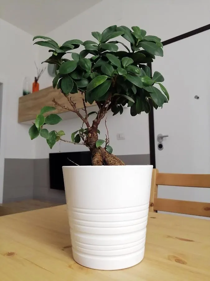 La Casa Blu Apartment Bari Italy